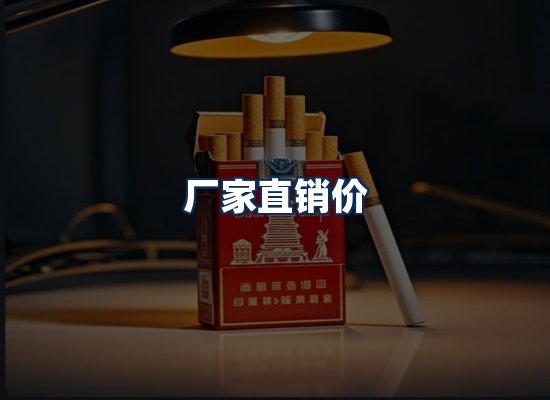 专业团队办公环境